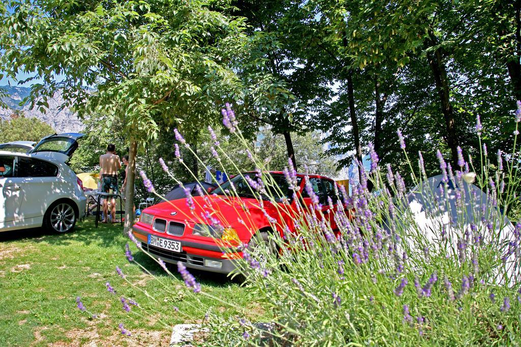 Medium Empty Lot Bring your own tent or van